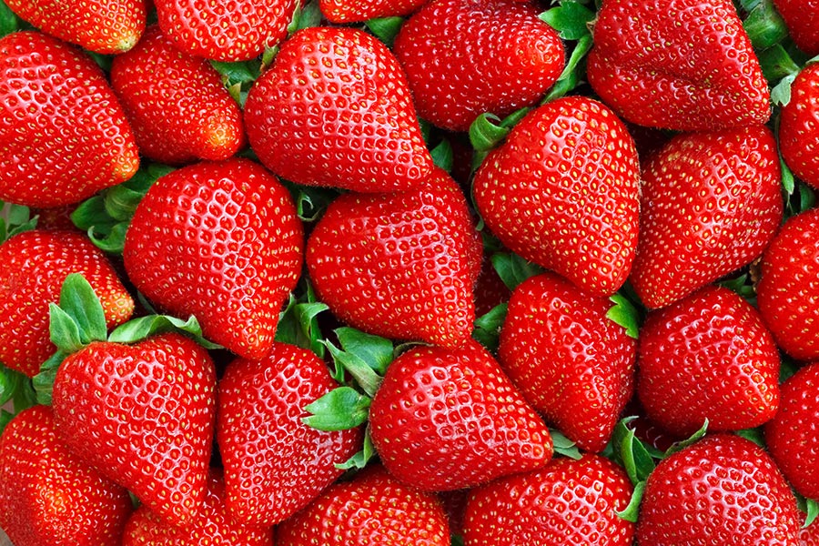 Erdbeeren aus der Region Erdbeeren aus der Region