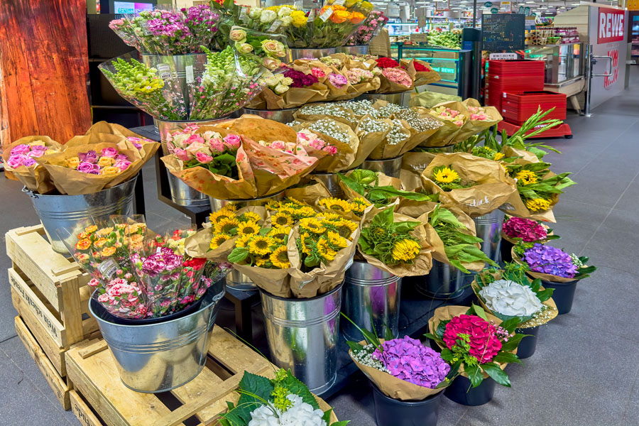 Blumen Blumen